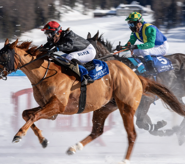 Signs of a Healthy Racehorse