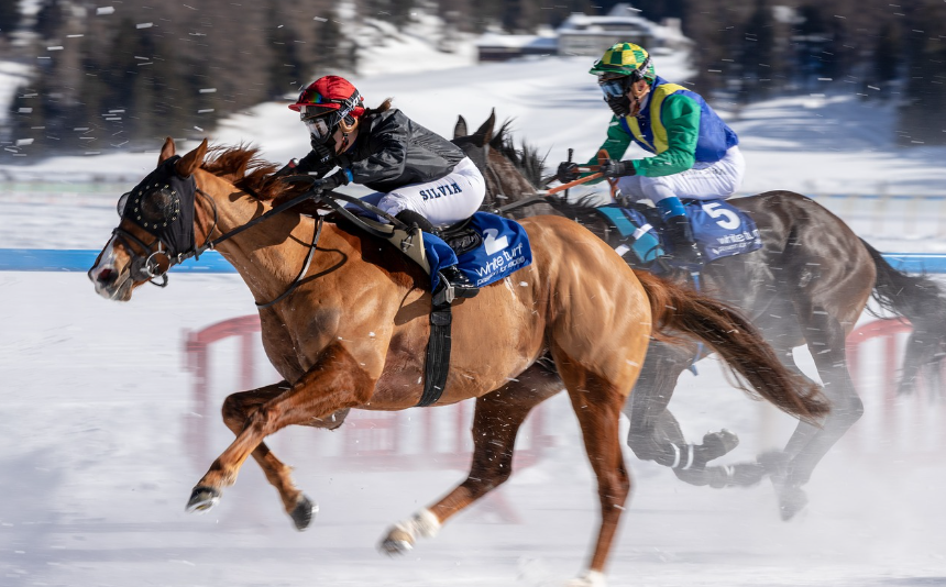 Signs of a Healthy Racehorse