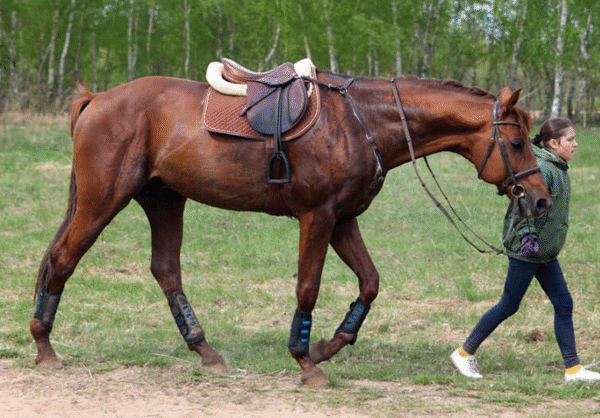 Social Traditions Unique to Racing Festivals