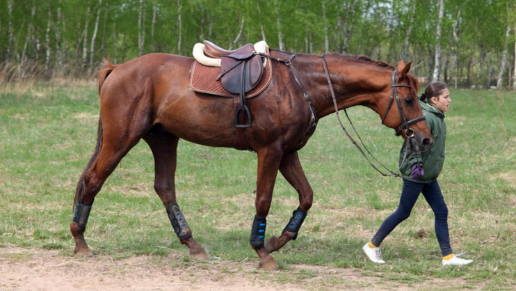 Social Traditions Unique to Racing Festivals