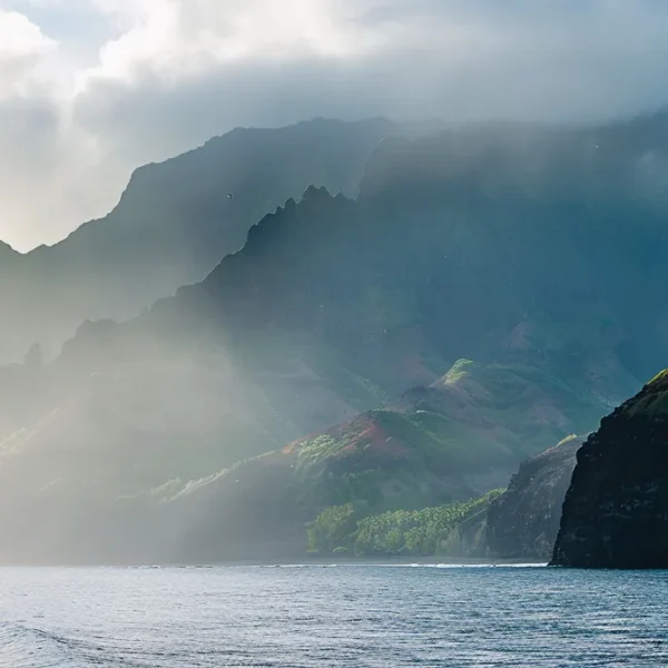 Unique Spots That Elevate Your Kauai Whale Watching Season Tour