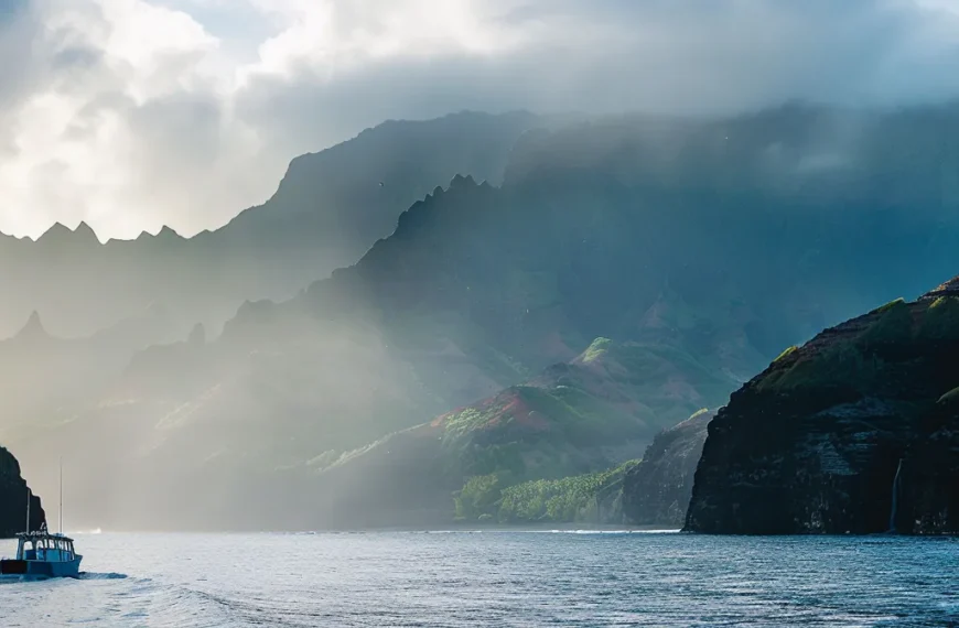 Unique Spots That Elevate Your Kauai Whale Watching Season Tour